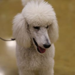 photograph by PeterW